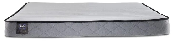 Sealy® Essentials Evan Medium Twin Mattress