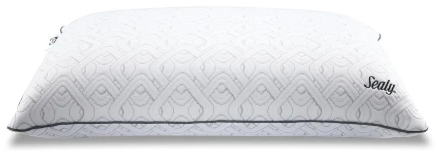 Sealy® Premium Memory Foam Pillow with Support Gel